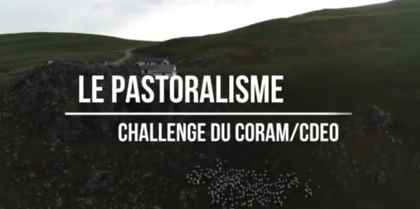 Le pastoralisme – Challenge du CORAM-CDEO