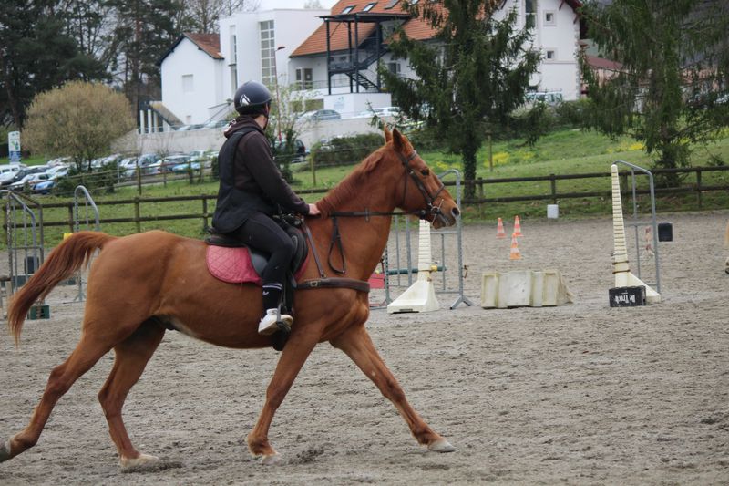 Equitation