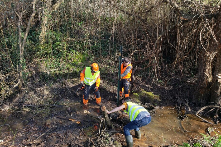 BTS GPN - Chantier collectif